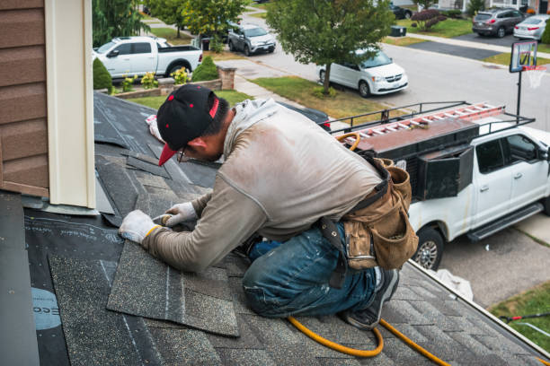 Professional Hail Damage Roof Repair technician working in Island, KY